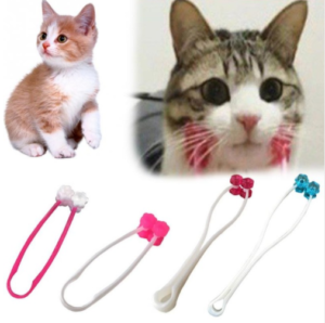 En Ucuz Kedi Malzemeleri