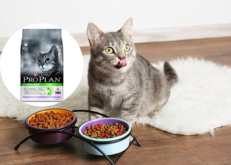 ProPlan Kısır Kedi Maması Yorum