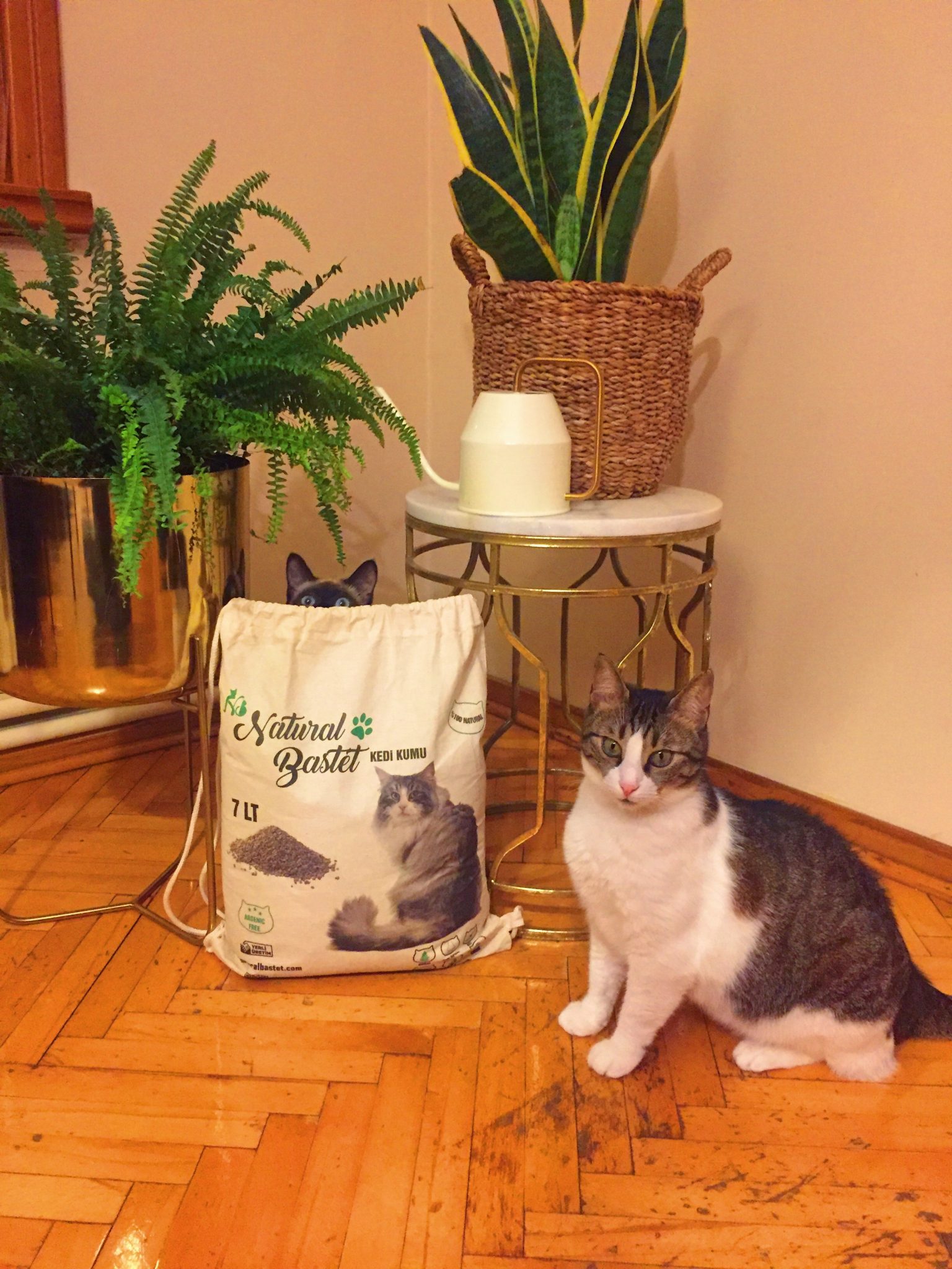 Natural Bastet Kedi Kumu - Çam Peleti Yorum