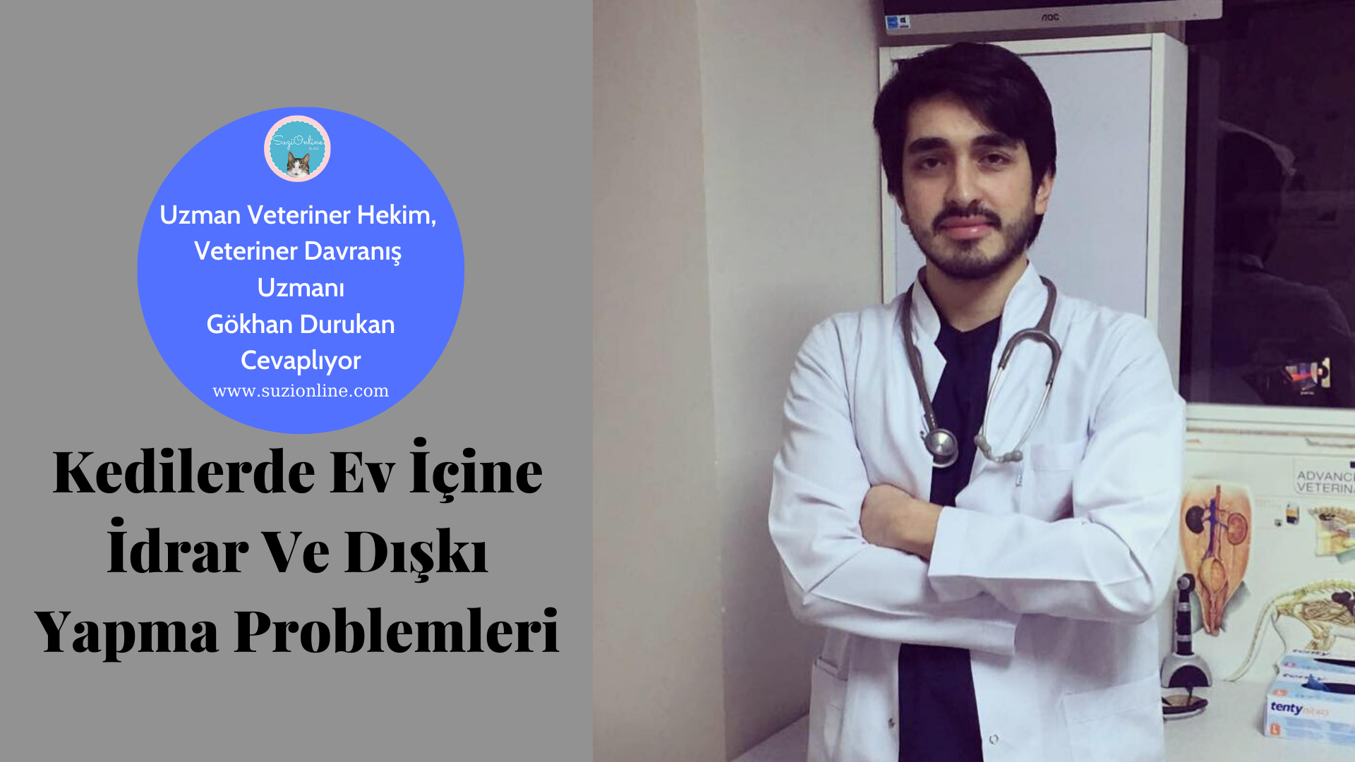Kedilerde Ev İçine İdrar Ve Dışkı Yapma Problemleri