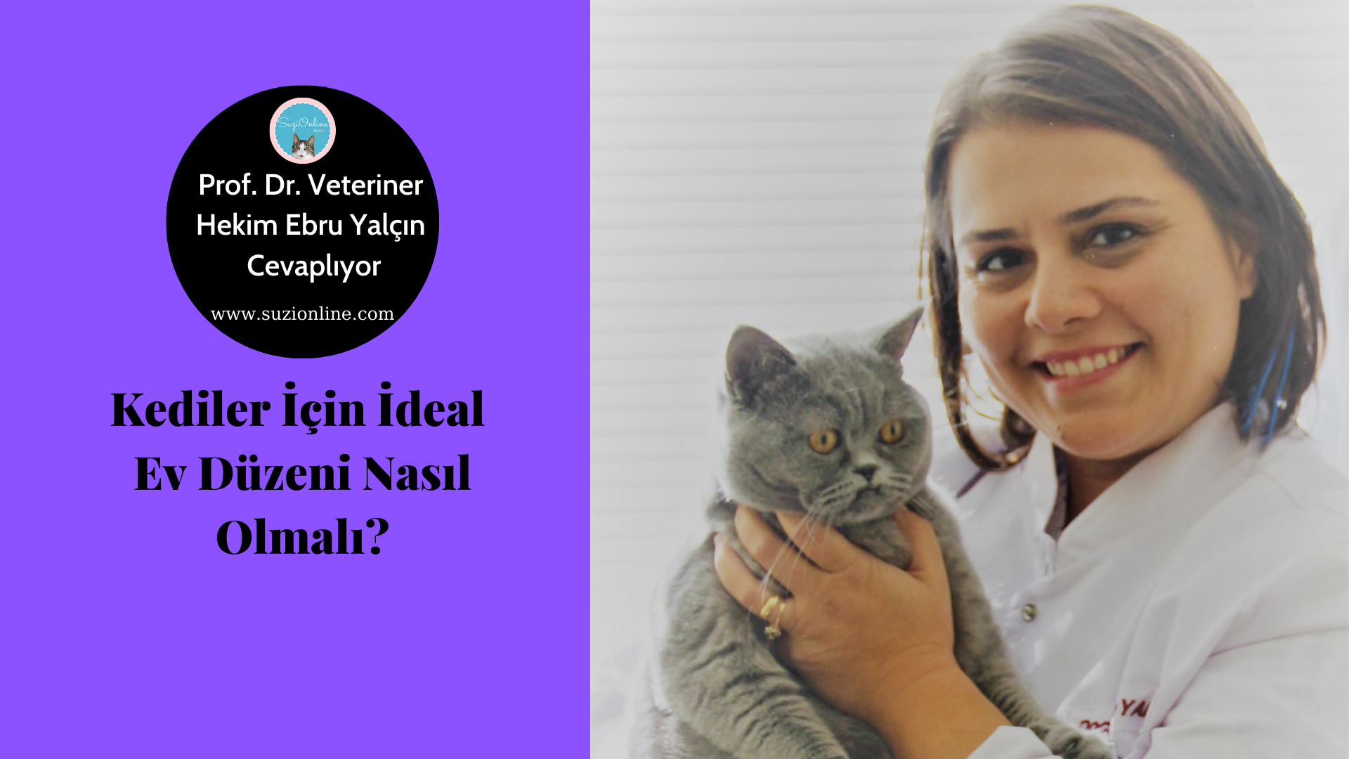 Kediler İçin Ev Düzeni Nasıl Olmalı? - Kedi Psikolojisi