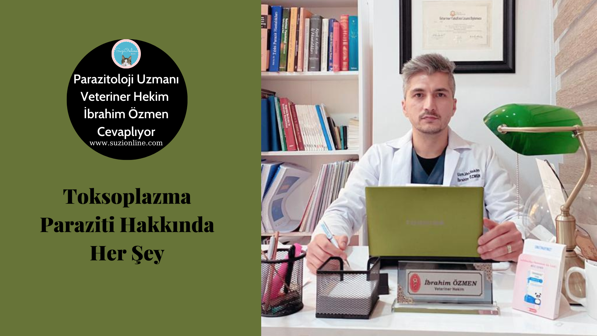 Kedilerde Toksoplazma ve Parazitler Hakkında Her Şey