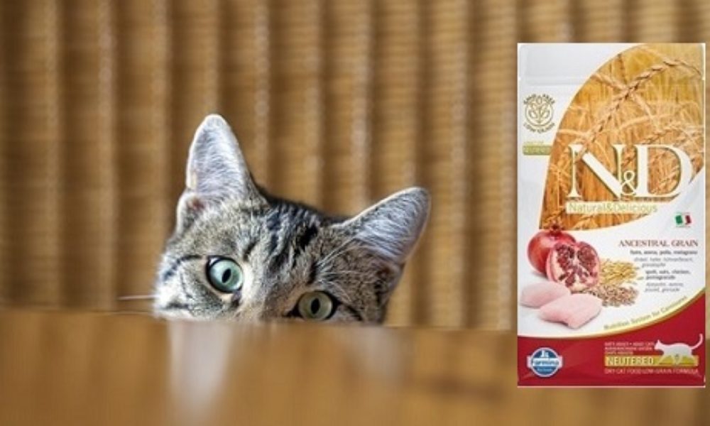 N&D Kısırlaştırılmış Kedi Maması Yorum