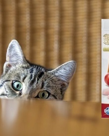 N&D Kısırlaştırılmış Kedi Maması Yorum